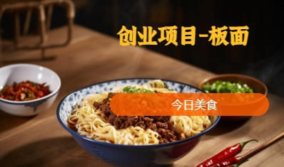 創(chuàng)業(yè)項目-板面